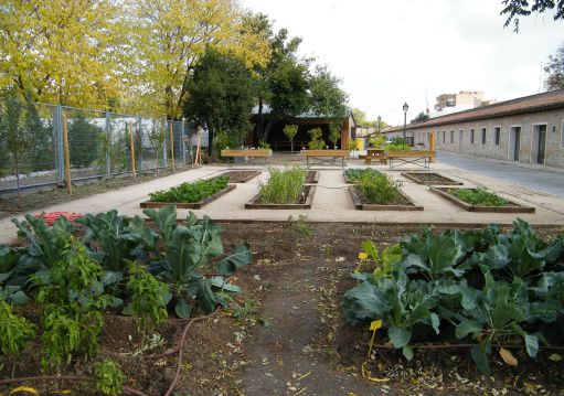 Campesinos de ciudad