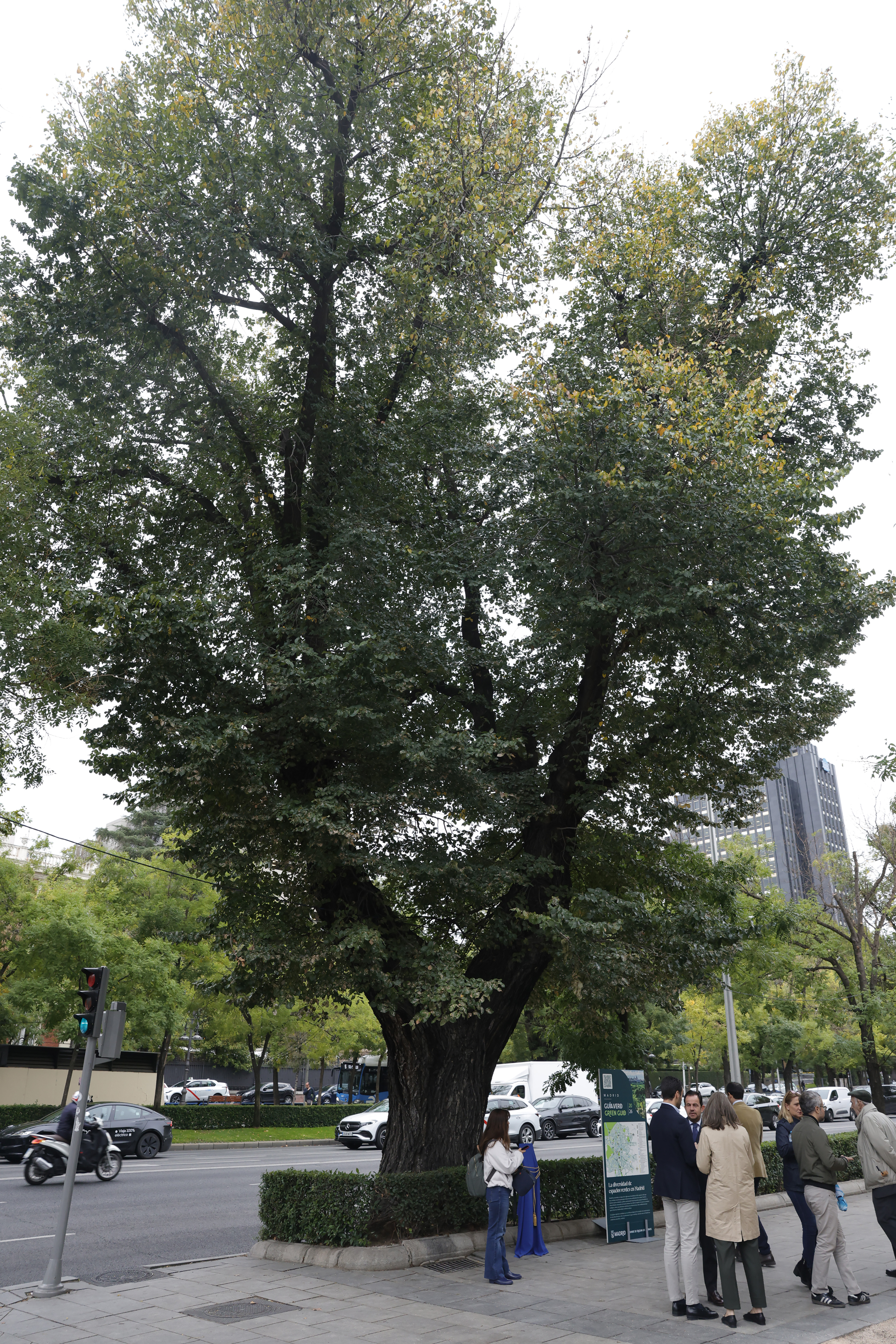 guia verde