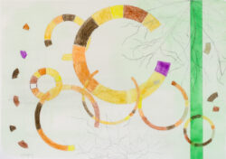 Redes de integración madrileñas, anillos de integración