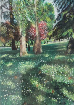 La pradera, un oasis en la ciudad