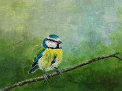 Desde mi ventana. Luz, atmósfera y ornitología de la ciudad de Madrid