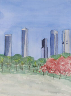 Las torres y su entorno