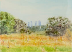 Nuestro pulmón verde