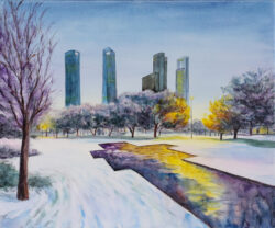 Nevada en el parque norte -