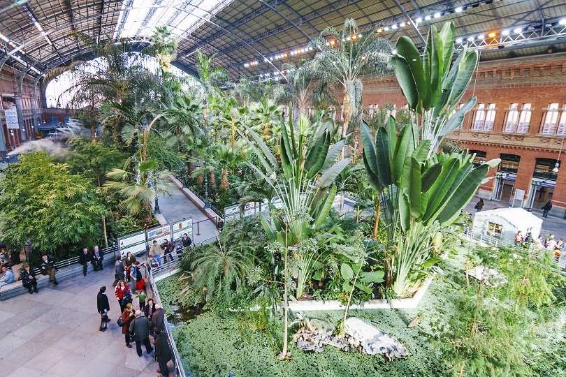 Jardin tropical invernadero de la estacion de puerta de Atocha Madrid
