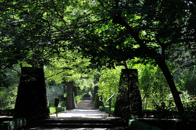 real jardin botanico historia de madrid eje prado castellana